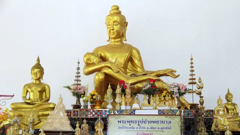 แห่กราบ ‘พระปางพยาบาล’ อุ้มภิกษุอาพาธ เชื่อช่วยรักษาโรคร้ายหายขาด 