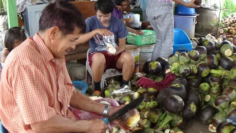 ไปดูกัน! เฉาะตาลขั้นเทพ คุยโวขายวันละ 2 พัน 