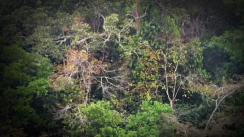 สลด! พ่อวัย 66 โดน 2 ลูกชายสติไม่ดี ฟันคอขาดในป่าหญ้า