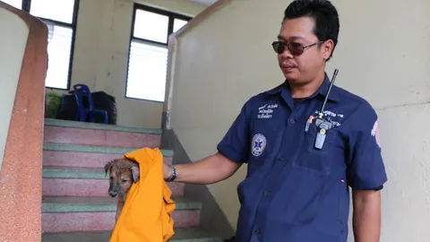 พระหนุ่มมรณภาพในกุฏิ!  หมาน้อย 2 ตัวนอนเฝ้า เห่าให้คนรู้   (ชมคลิป)