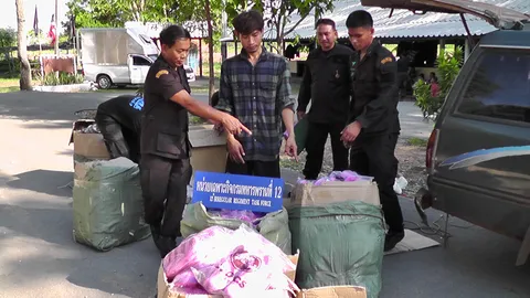 รวบหนุ่มเขมร ลอบขนรองเท้าละเมิดลิขสิทธิ์ ส่งตลาดโรงเกลือ