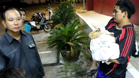 สาวอุ้มร่างหมาร้องค่าเสียหาย หลังถูกรถรับส่ง นร.ทับตาย