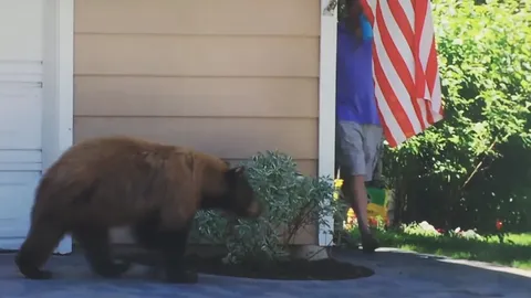 จะเกิดอะไรขึ้น? เมื่อเจ้าหมีเดินมาจ๊ะเอ๋คนที่มุมตึก (ชมคลิป)