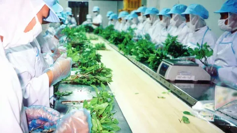 ดัชนีเชื่อมั่นภาคอุตฯ เม.ย. ร่วงเดือนที่ 4 ต่ำสุดรอบ 7 เดือน (ชมคลิป)