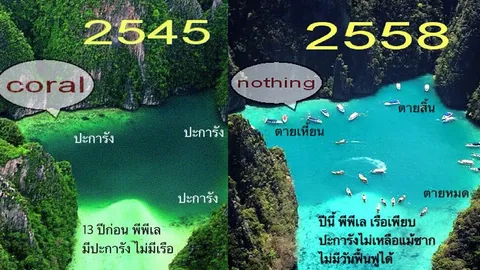 ตายเหี้ยน! ดร.ธรณ์ โพสต์ภาพพีพีเล เรือเพียบ ปะการังไม่เหลือซาก  