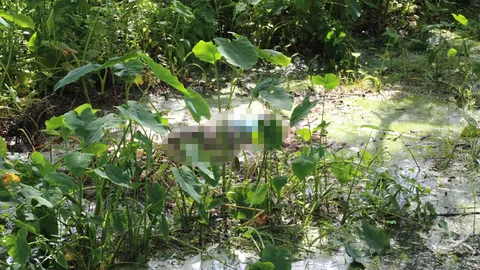 พบศพ! ชายนิรนามไม่ทราบชื่อ พกโฉนด-ทะเบียนบ้านลอยน้ำอืดกว่า 2 อาทิตย์