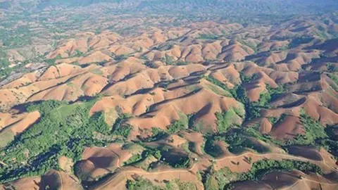 ยึดสวนยาง/สร้างป่า