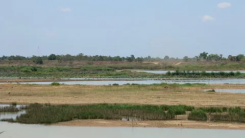 ชาวนครสวรรค์โอด 'บึงบอระเพ็ด' น้ำแห้งขอดทำขาดรายได้