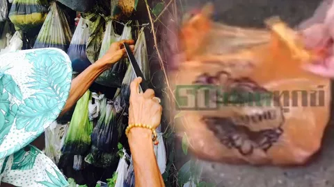 พิสูจน์แล้ว ‘ลัทธิบูชาขี้หมา’ เจ้าของบ้านเปิดใจ ไม่ใช่อย่างที่คิด 