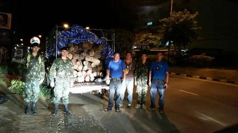 ทหารจับรถขนไม้พะยูงใจกลางเมืองมุกดาหาร ค่ากว่า 1 ล้านบาท