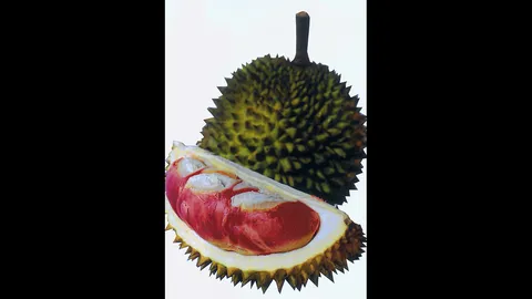 "ทุเรียนแดงอินโดฯ" เนื้อสีแปลกหวานหอมอร่อย