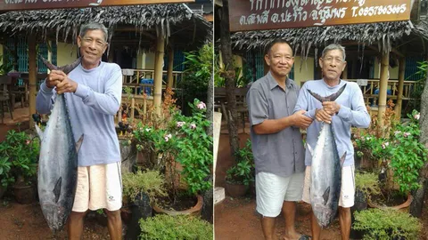 ระบบนิเวศสมบูรณ์ ประมงชุมพร ตกเบ็ดติดปลาทูน่ายักษ์