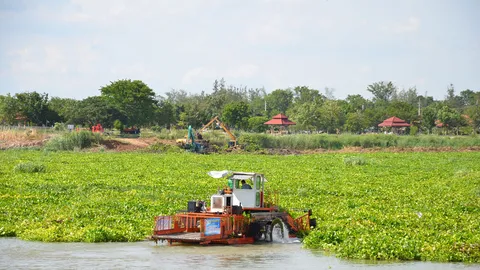 ชัยนาทรับคำสั่งมท.1 เร่งกำจัดผักตบ เปิดทางน้ำเข้าไร่นา