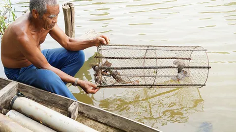 ชาวบ้านพัทลุง เผย 'กุ้งก้ามกราม' สร้างรายกว่า 500,000 บาทต่อปี