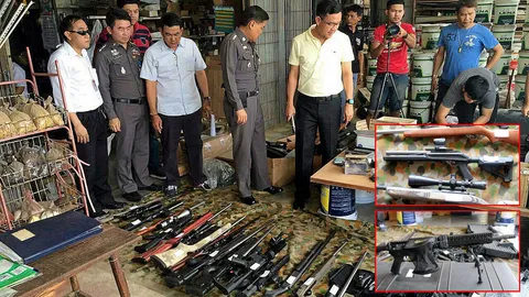 สารพัดปืน