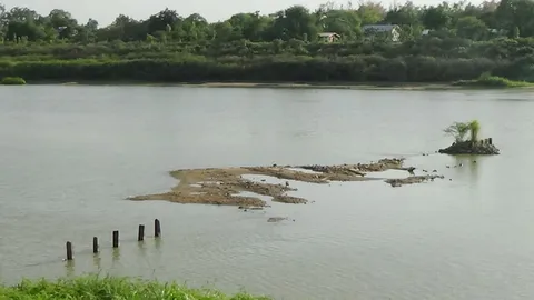 แล้งกระหน่ำอ่างทอง น้ำเจ้าพระยาแห้ง สันดอนโผล่หลายจุด