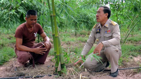 หนุ่มสถาปนิก ผันตัวเป็นเกษตรกรปลูกไผ่กิมซุ่ง โกยเงินปีละล้าน