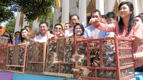 ปูปล่อยนก 