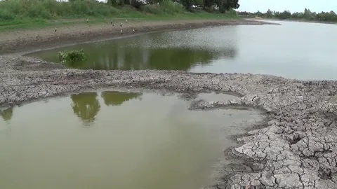 บึงน้ำใหญ่เมืองอ่างทองใกล้แห้ง ชี้แล้งหนักสุดในรอบ 20 ปี