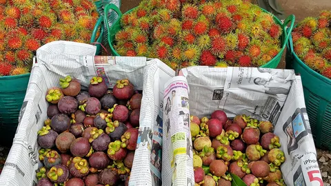 สศก.เร่งเก็บข้อมูลโมเดลธุรกิจ‘ล้งจีน’