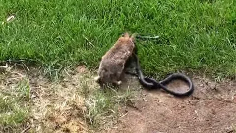 พลังรักของแม่ที่มีต่อลูก