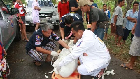 หนุ่มควบกระบะชนต้นไม้ สาวที่มาด้วย ถูกอัดก๊อบปี้ดับคารถ