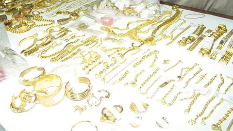 อนุฯ ป.ป.ช. อายัด ทอง 179 ล. อดีตอธิบดีกรมสรรพากร ไม่ปรากฏในบัญชี (ชมคลิป)