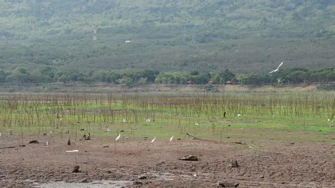 พายุ-หอบฝน จ่อพ้น‘แล้ง’