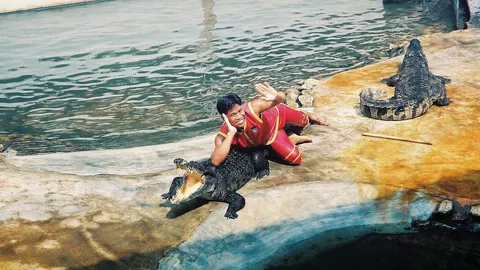 ไประลึกความหลัง ฟาร์มจระเข้ปากน้ำ