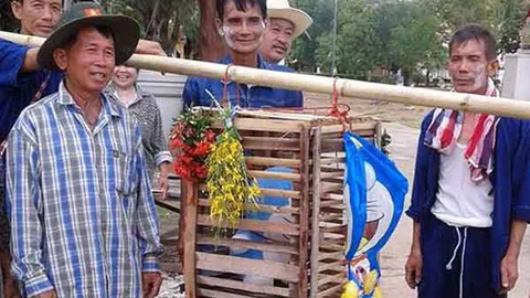 แพร่แล้งหนัก แห่โดราเอมอน แทนนางแมว ขอฝน เลี่ยงถูกด่าทรมานสัตว์