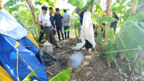 สลดใจ! สุนัข 3 ตัวช่วยเจ้าของถูกไฟช็อตสุดท้ายตายหมู่