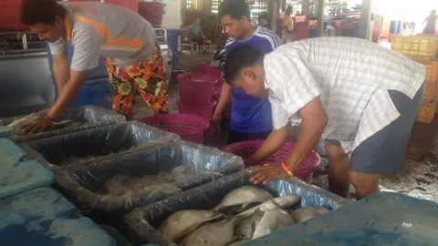 เหมือนถูกหวย! เรือประมงอวนดำ จับปลาคืนเดียว ได้ 2.5 ล้าน