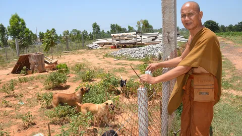 พระโคราชสร้าง 'เรือนจำสุนัข แดน1' ขังหมาประชดคน! 