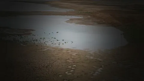  ร้องรบ.บิ๊กตู่ !! อ่างเก็บน้ำห้วยผาวัง ทำพิษ พื้นที่เกษตรเจอน้ำท่วมกว่า 24 ปี 