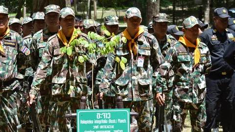 จนท.อุทยานถ้ำผาไท ชนแก๊งตัดไม้เถื่อน ไม่หวั่นผู้อิทธิพล 