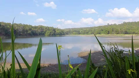 รัก 3 เส้า...น้ำ–ป่า–ดิน