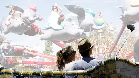 ดิสนีย์แลนด์ ไล่ “ไม้เซลฟี่”