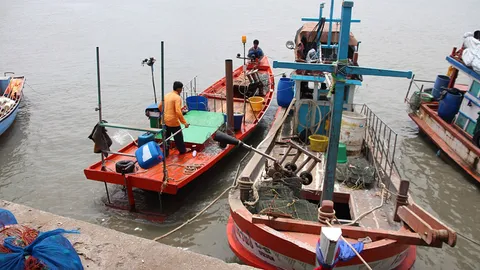 ประมงชายฝั่งยิ้ม! ขจัดเรือผิด ก.ม. ทะเลไทยกลับมาสมบูรณ์ 