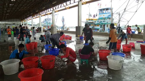 สะพานปลาสมุทรสาครคึกคัก ชาวประมงทยอยนำอาหารทะเลขาย (ชมคลิป)