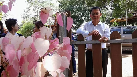 ไปดูหรือยัง ต้นโพธิ์สีชมพู!! ออกใบใหม่สีสันสดใสทั้งปี (ชมคลิป)