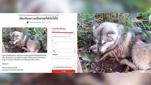 ไม่นิ่งนอนใจ! ผู้ว่าฯสกลนคร-กลุ่มคนรักสุนัข ขอแรงชาวเน็ต เรียกร้องความเป็นธรรมให้ 'โจโก้'