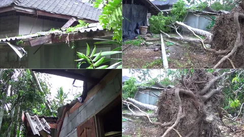 พายุฝนถล่มเมืองคอน บ้านเรือน-พืชเกษตรเสียหาย 