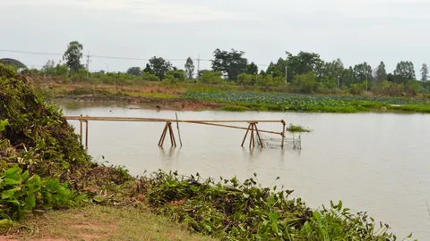 อีสท์วอเตอร์ยันไม่ขาดน้ำ ส่งถึงผู้ใช้ภาคตะวันออกพ้นภัยแล้ง