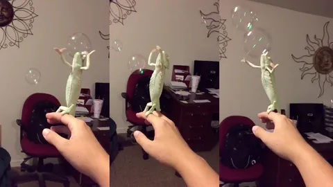 เรียกรอยยิ้ม! คลิป 'กิ้งก่า' อวดลีลาเล่นกับฟองสบู่ สนุกจนอยากกลับไปเป็นเด็ก