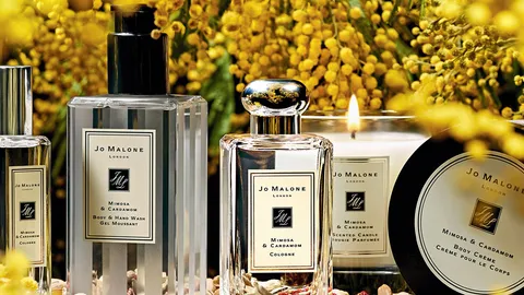 ความหอมจากดอก Mimosa คอลเลกชั่นใหม่ “โจ มาโลน”