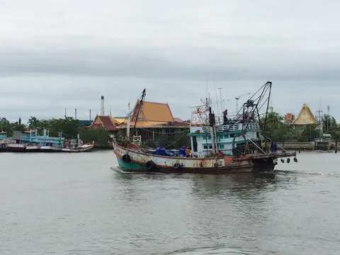 ผู้ประกอบการ ครวญ ใบเหลืองประมงทำธุรกิจต่อเนื่อง ล้มเป็นโดมิโน่ 