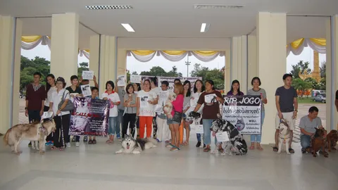 คนรักสัตว์อุบลฯ เรียกร้องความยุติธรรมให้ 'โจโก้' จี้หยุดกินหมา-แมว