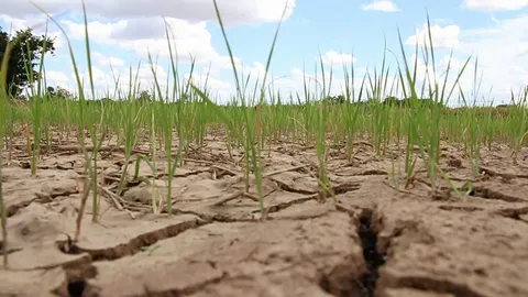 นครสวรรค์ เร่งทำฝนหลวง เป้าหมายเพิ่มน้ำ ลุ่มเจ้าพระยา 