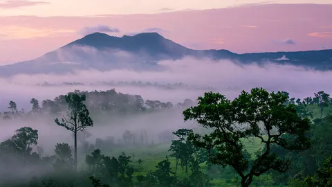 ไอหมอก ทุ่งหญ้า ป่าสน…และความสุขที่หากันจนเจอ ‘ทุ่งแสลงหลวง’