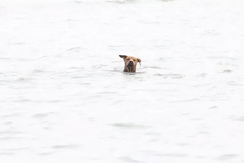 ทะเลคราม ภูเขา ฟ้าใส ปูลม อ่าวมะนาว จ.ประจวบฯ